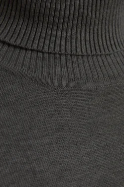 MilaSZ Rollneck Dress