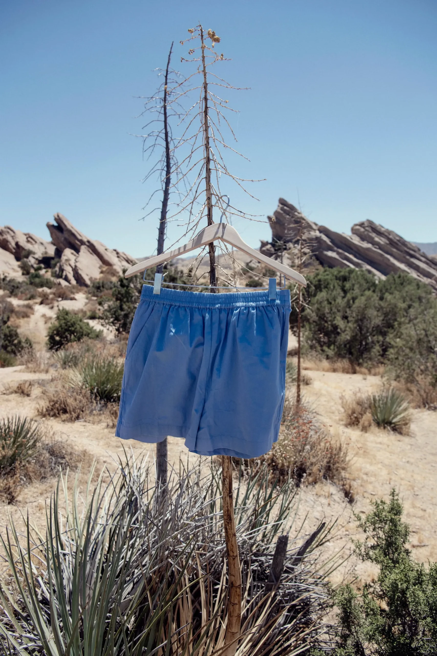 UfloraSZ Shorts